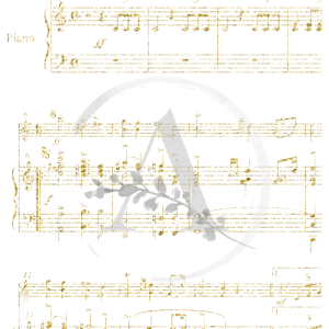 LAMINAS TRANSFER COLOR LYF-06