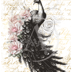 LAMINAS TRANSFER COLOR LYF-14