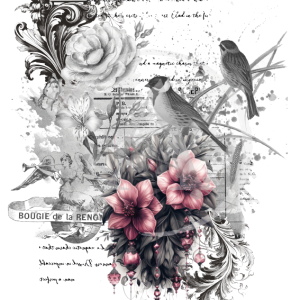 LAMINAS TRANSFER COLOR LYF-20