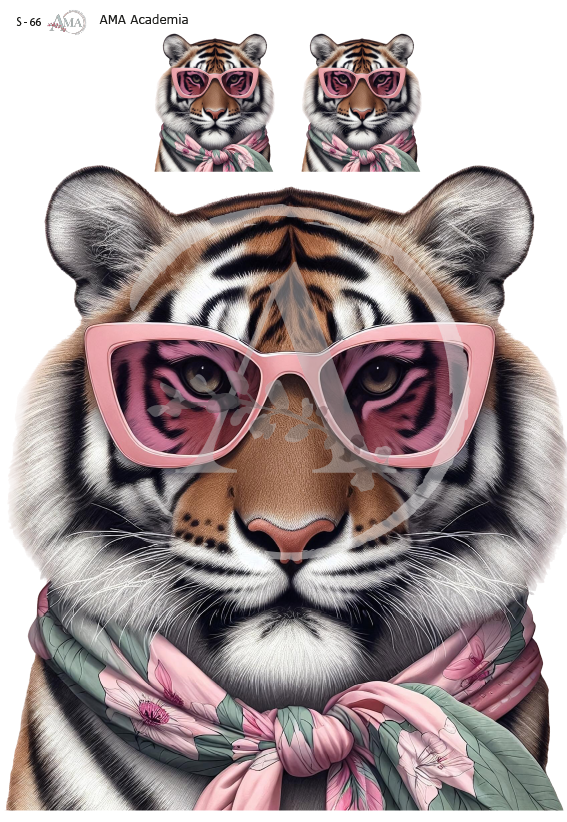 LAMINAS SUBLIMACION S-66