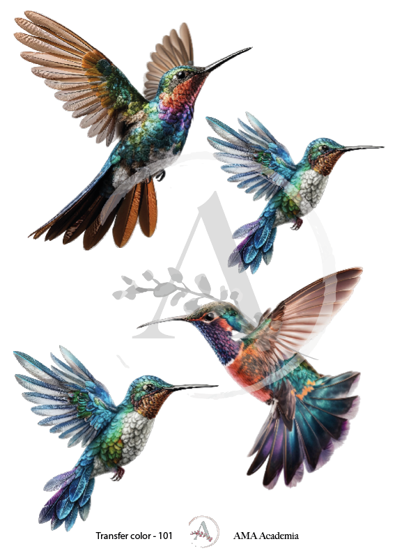 LAMINAS TRANSFER COLOR TC-101