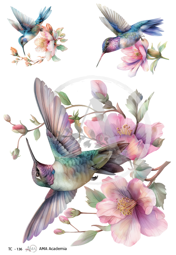 LAMINAS TRANSFER COLOR TC-136