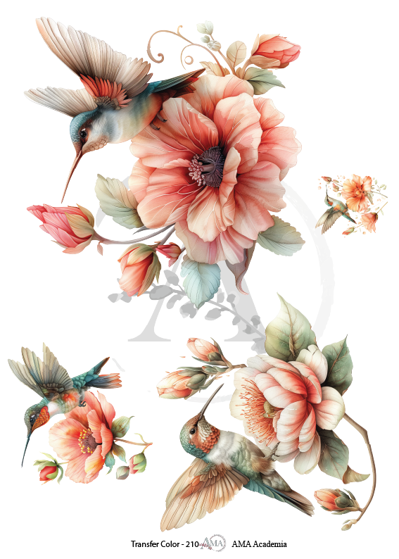 LAMINAS TRANSFER COLOR TC-210