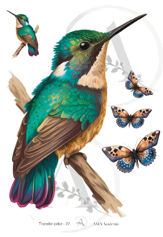 LAMINAS TRANSFER COLOR TC-27