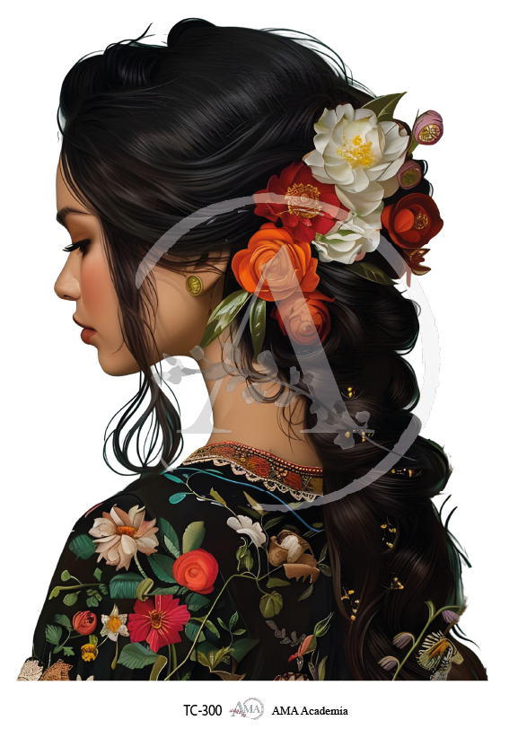 LAMINAS TRANSFER COLOR TC-300