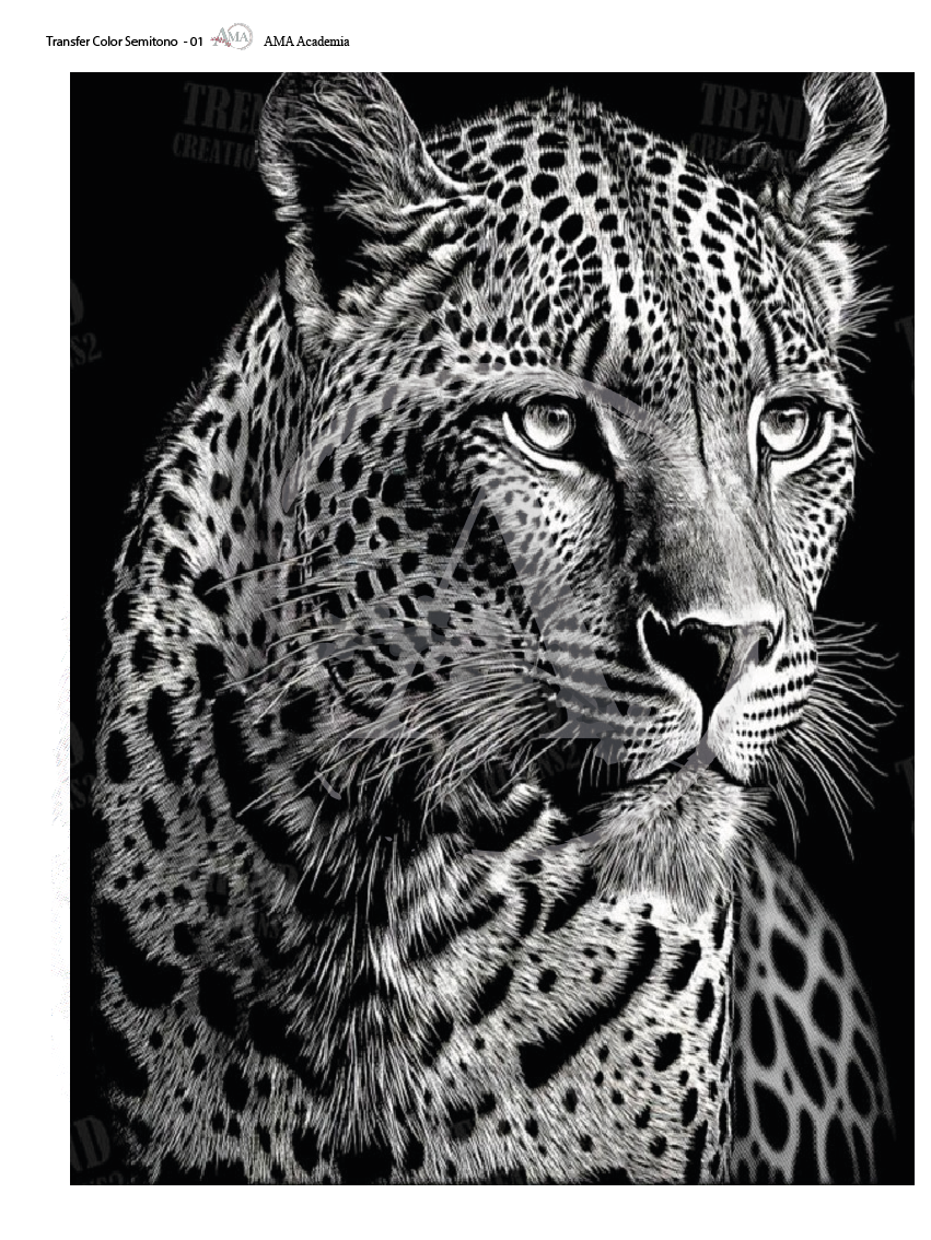 LAMINAS TRANSFER COLOR TCST-01