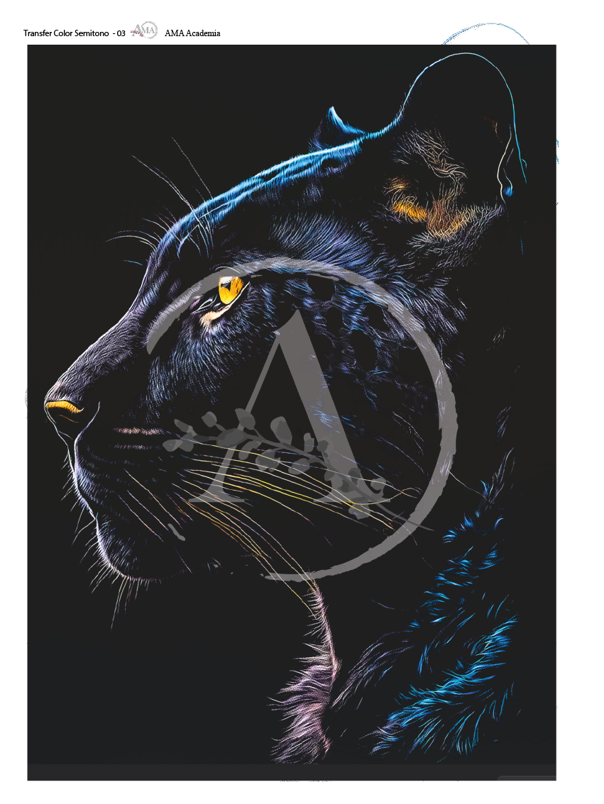 LAMINAS TRANSFER COLOR TCST-03