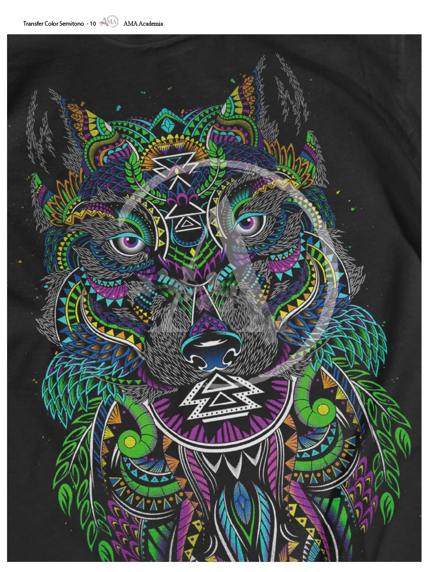 LAMINAS TRANSFER COLOR TCST-10