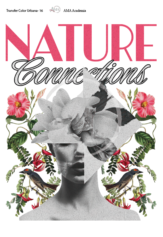 LAMINAS TRANSFER COLOR TCU-16